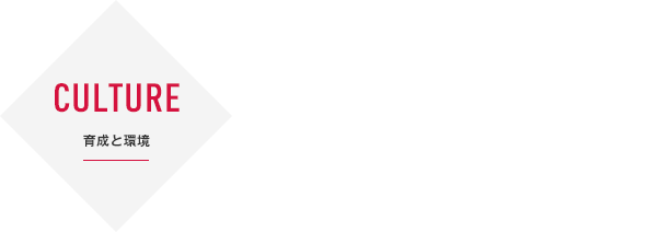 CULTURE | 社員と仕事 | 社員と働き方データ
